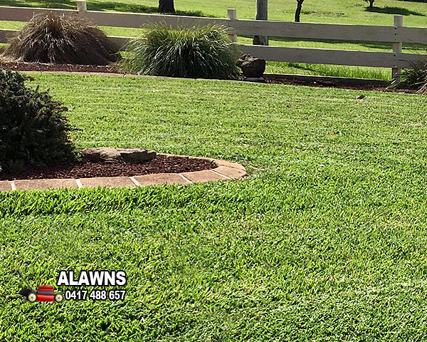 Lawn Mowing Greystanes Area