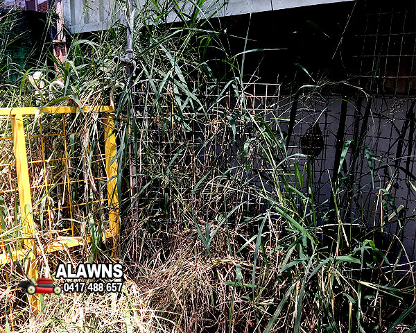 Lawn Mowing Greystanes Commercial Clean Ups