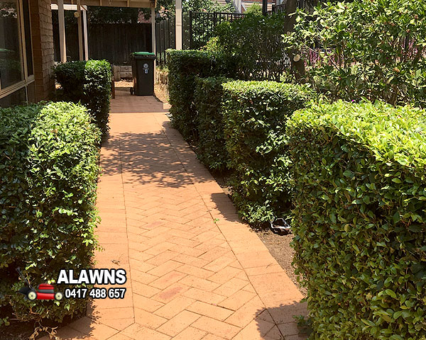 Trim Garden Hedges in Baulkham Hils