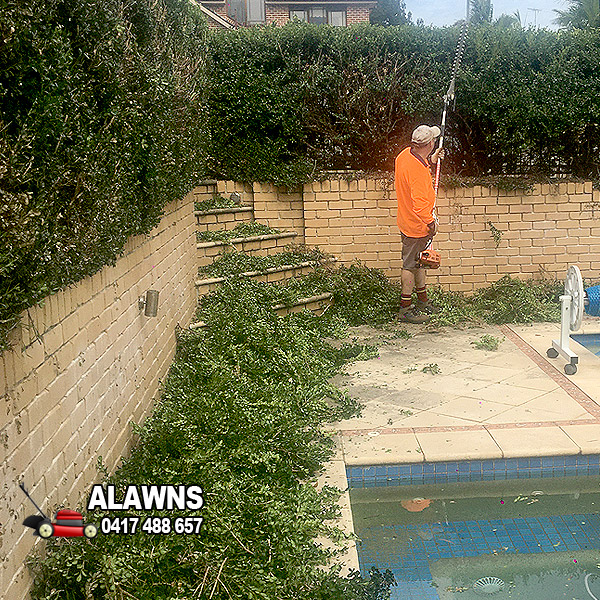 Hedge Cutting in Castle Hill with A-Lawns Baulkham Hills
