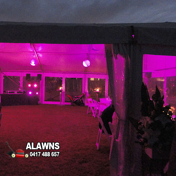 Backyard wedding lighting hire
