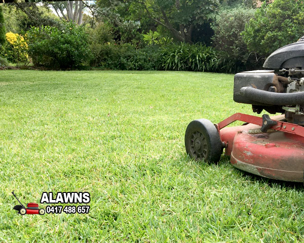 Lawn care Cherrybrook call 0417488657
